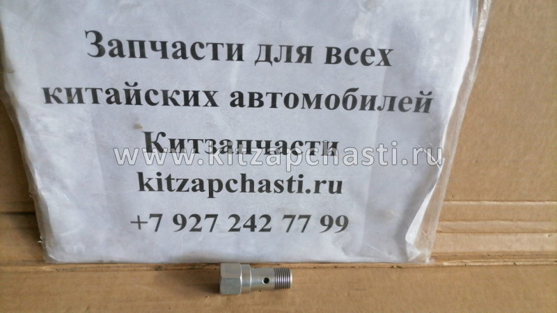 Клапан перепускной BOSCH ТНВД (WP10) Shacman F30002469403530